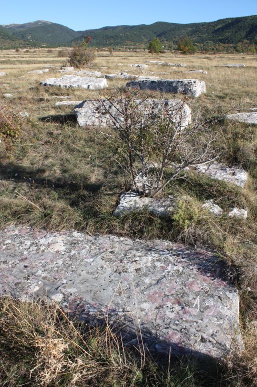Nekropole sa stećcima na lokalitetima Lipa I, II i III u Lipi, historijsko područje